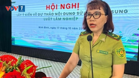 Lấy ý kiến về hồ sơ đề nghị sửa đổi, bổ sung Luật Lâm nghiệp
