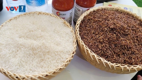 Gia tăng xúc tiến thương mại cho nông sản tại Hội chợ Mùa Thu 2025