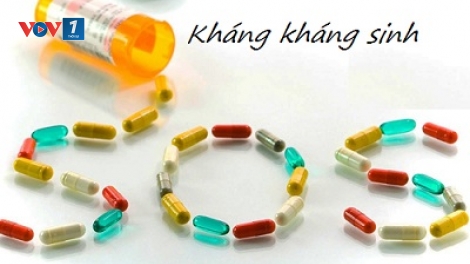 WHO: Cần tăng cường đầu tư giải quyết tình trạng siêu vi khuẩn kháng kháng sinh