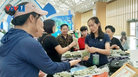 Nâng tầm thương hiệu nông sản Việt từ Hội chợ Mùa Thu lần thứ nhất năm 2025