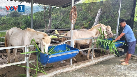 Chuyển đổi sản xuất hiệu quả, mở lối giảm nghèo bền vững (14/10/2025)