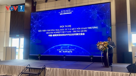 Việt Nam - Trung Quốc thúc đẩy xúc tiến thương mại hiệu quả, khai mở tiềm năng thị trường 