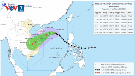 Thủ tướng: Chủ động phòng, tránh, ứng phó bão số 12 và mưa lũ