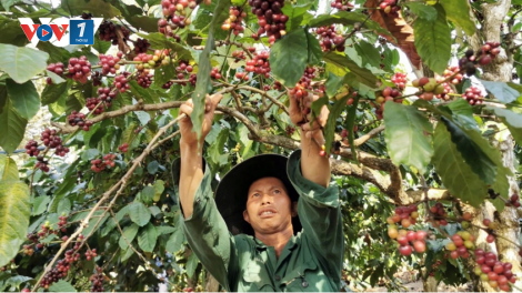Theo dòng thời sự sáng 30/10/2025