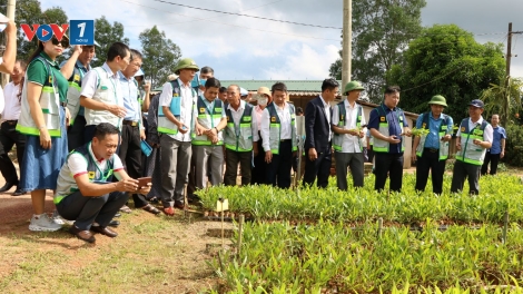 Khuyến nông cộng đồng – Lực lượng đồng hành phát triển vùng nguyên liệu gỗ lớn bền vững (19/10/2025)