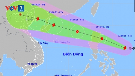 Bão số 11 sẽ tăng cấp, cảnh báo đặc biệt nguy hiểm trên biển
