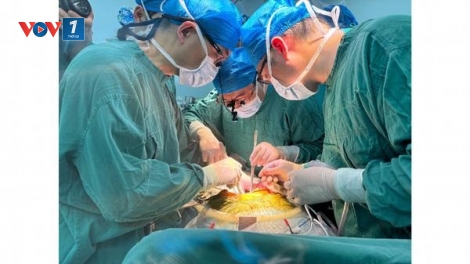 Người đầu tiên trên thế giới ghép gan lợn chỉnh sửa gien ở Trung Quốc qua đời sau 171 ngày