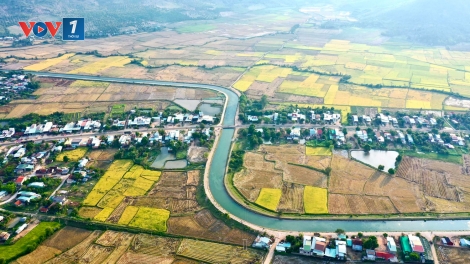 Mùa vàng ở Ayun Hạ
