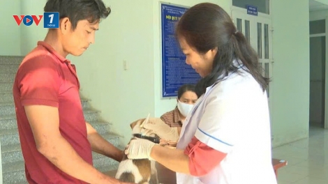 Bộ Y tế khuyến cáo người dân cần chủ động phòng chống bệnh dại