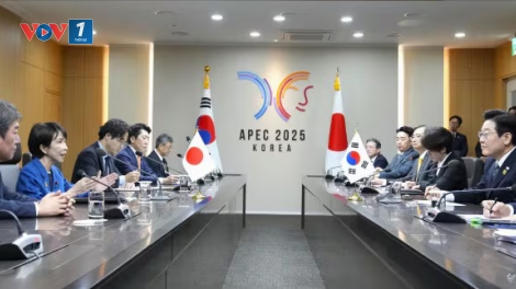 Nhật Bản gặt hái nhiều thành công tại diễn đàn APEC