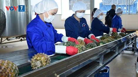 Nông nghiệp tiếp tục duy trì đà tăng trưởng giữa nhiều thách thức (07/10/2025)