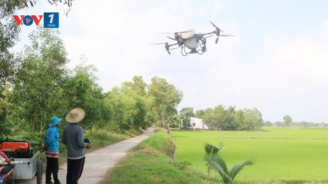 Theo dòng thời sự chiều 10/10/2025