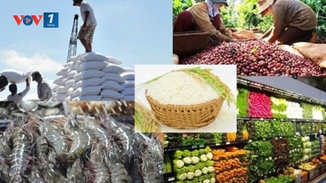 Đa dạng hóa thị trường, gia tăng xuất khẩu nông sản cuối năm (21/10/2025)