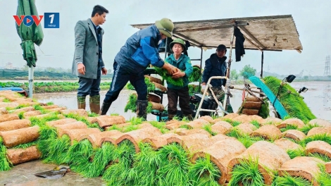 Nông dân Việt Nam trong kỷ nguyên mới
