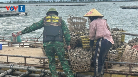 Quảng Ninh: Đảm bảo an toàn, đời sống cho người dân tránh trú bão