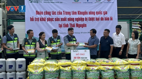 Đồng hành cùng người dân khôi phục sản xuất sau mưa lũ