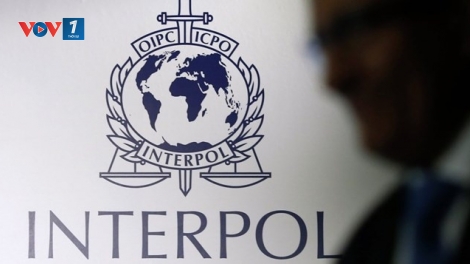 Thời sự 6h 29/11/2025: Interpol kêu gọi hành động toàn cầu chống lừa đảo xuyên quốc gia