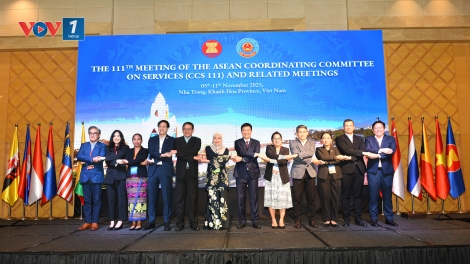 Việt Nam cam kết thúc đẩy hợp tác và đổi mới hội nhập dịch vụ trong ASEAN