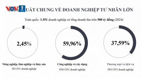 Hoàn thiện chính sách hỗ trợ phát triển doanh nghiệp tư nhân “sếu đầu đàn”