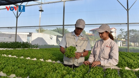 Kinh tế tuần hoàn – Giải pháp bền vững cho tương lai Việt Nam