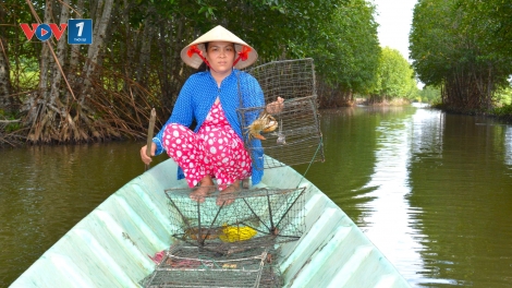 Ngày hội cua Cà Mau: Người dân mong "giá bền", HTX muốn "xuất ngoại"