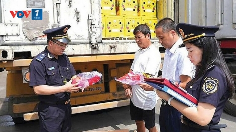 Hải quan nỗ lực hiện đại hoá, tăng cường hỗ trợ, tạo thuận lợi cho doanh nghiệp xuất nhập khẩu