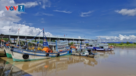 Cần Thơ quyết liệt triển khai nhiều giải pháp phòng, chống IUU