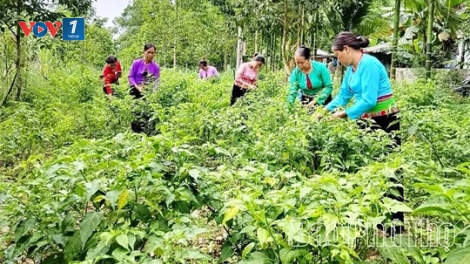Linh hoạt các mô hình giảm nghèo bền vững