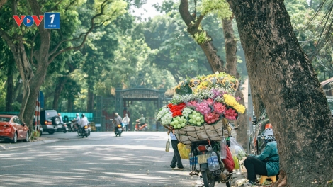 Thời tiết ngày 12/11/2025: Bắc Bộ sáng trời rét, trưa chiều hửng nắng; Trung-Nam Bộ ngày nắng