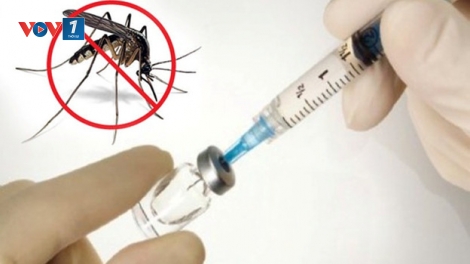 Việt Nam thử nghiệm lâm sàng giai đoạn 3 vắc-xin sốt xuất huyết