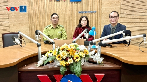 Dấu ấn 5 năm thực hiện Chương trình Phát triển lâm nghiệp bền vững (23/11/2025)