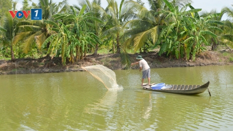 Chuyển đổi xanh, kinh tế tuần hoàn trong nuôi trồng thủy sản tại ĐBSCL (05/11/2025)