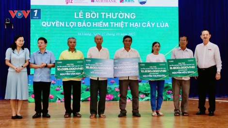 ABIC chi trả gần 62 triệu đồng tiền bảo hiểm cây lúa cho nông dân xã An Phú, tỉnh An Giang