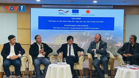Eu hỗ trợ Việt Nam trong việc thực thi Quy định chống phá rừng của Liên minh châu Âu được hiệu quả