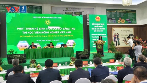 Đột phá nghiên cứu khoa học công nghệ, đổi mới sáng tạo trong nông nghiệp 