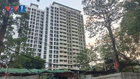 Theo dòng thời sự sáng 14/11/2025