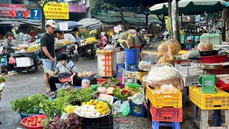 Theo dòng thời sự sáng 20/11/2025