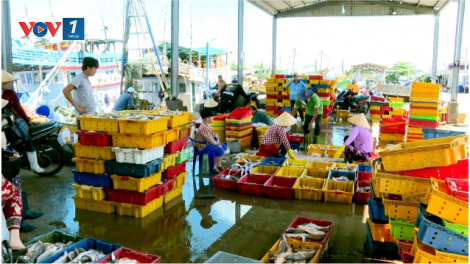 Theo dòng thời sự sáng 25/11/2025