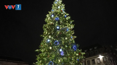 Strasbourg thắp sáng cây thông khổng lồ, mở màn mùa lễ hội Giáng sinh