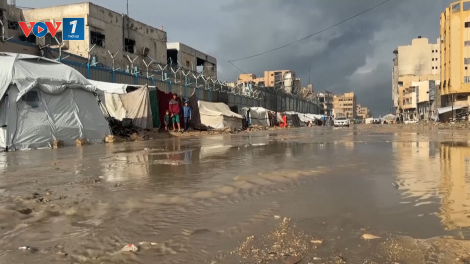 Gaza: mưa lớn làm ngập hàng trăm lều trại