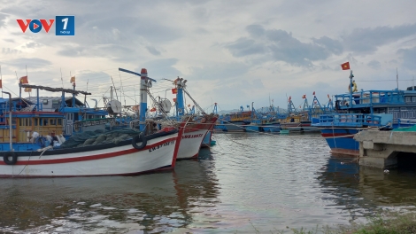 Khánh Hòa đưa hơn 3.400 tàu thuyền vào bờ an toàn trước bão số 15