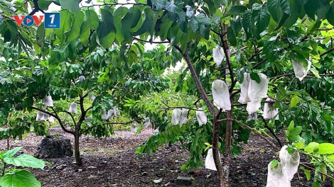 Đảm bảo hoàn thành mục tiêu quốc gia giảm nghèo bền vững với mô hình chính quyền địa phương 2 cấp
