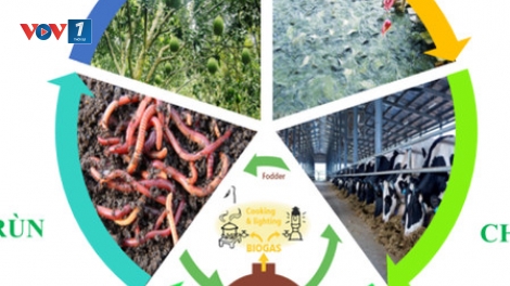 Phát triển mô hình kinh tế VAC hướng đến nền nông nghiệp xanh, đa giá trị (08/11/2025)
