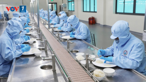 Phát triển ngành yến sào Việt Nam gắn với bảo tồn thiên nhiên