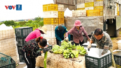 Nhiều chính sách hỗ trợ, khơi dậy tinh thần, tạo động lực cho đồng bào nghèo vươn lên