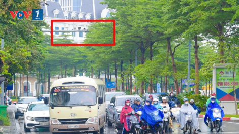 Theo dòng thời sự sáng 13/11/2025