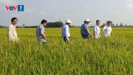 Xây dựng nền nông nghiệp sinh thái theo chủ trương của Đảng (22+23/11/2025)