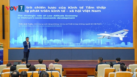 Việt Nam có đầy đủ lợi thế để trở thành trung tâm Kinh tế tầm thấp