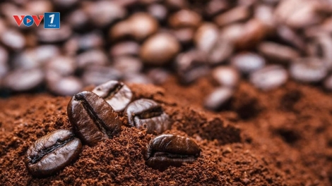 Mỹ phát đi tín hiệu muốn xoá thuế quan với cà phê, chuối và trái cây