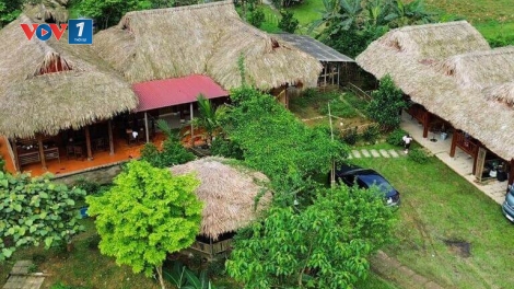 Tuổi trẻ Phú Thọ làm giàu trên quê hương